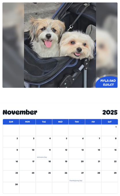 July 2025 - June 2026 Myla and Bailey - Pawidols Pet Calendar