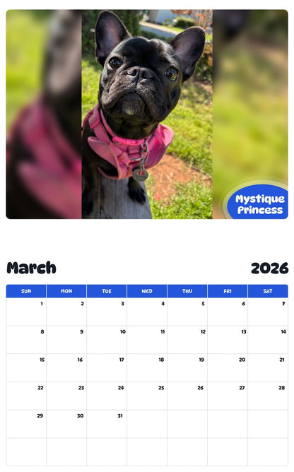 November 2025 - October 2026 Mystique Princess - Pawidols Pet Calendar