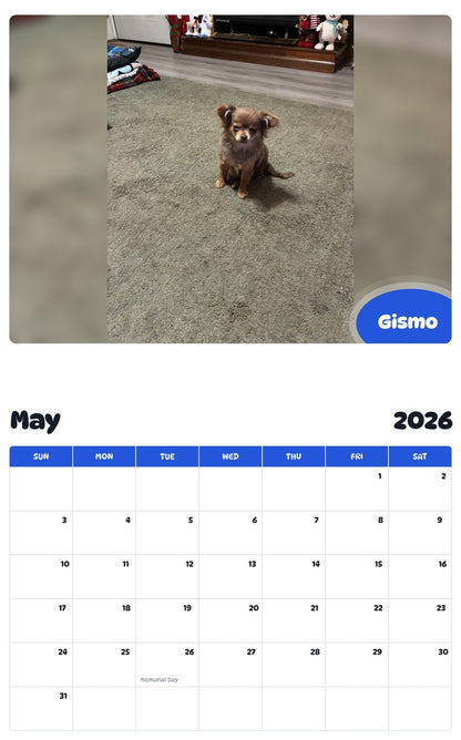 2026 - 2027 Gismo - Pawidols Pet Calendar