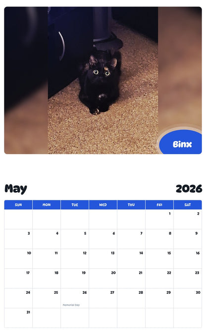 2026 - 2027 Binx - Pawidols Pet Calendar