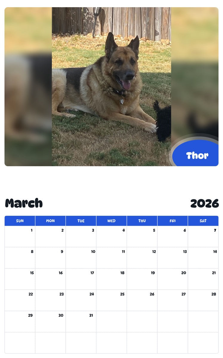 November 2025 - October 2026 Thor - Pawidols Pet Calendar