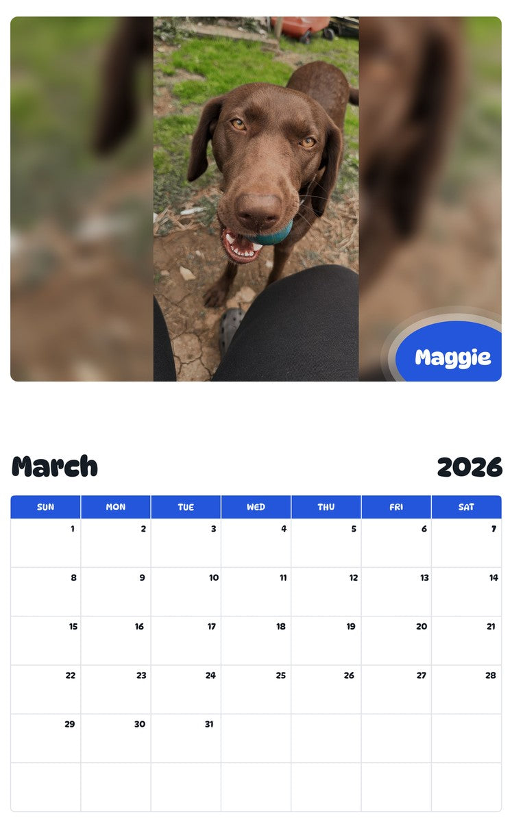 November 2025 - October 2026 Maggie - Pawidols Pet Calendar