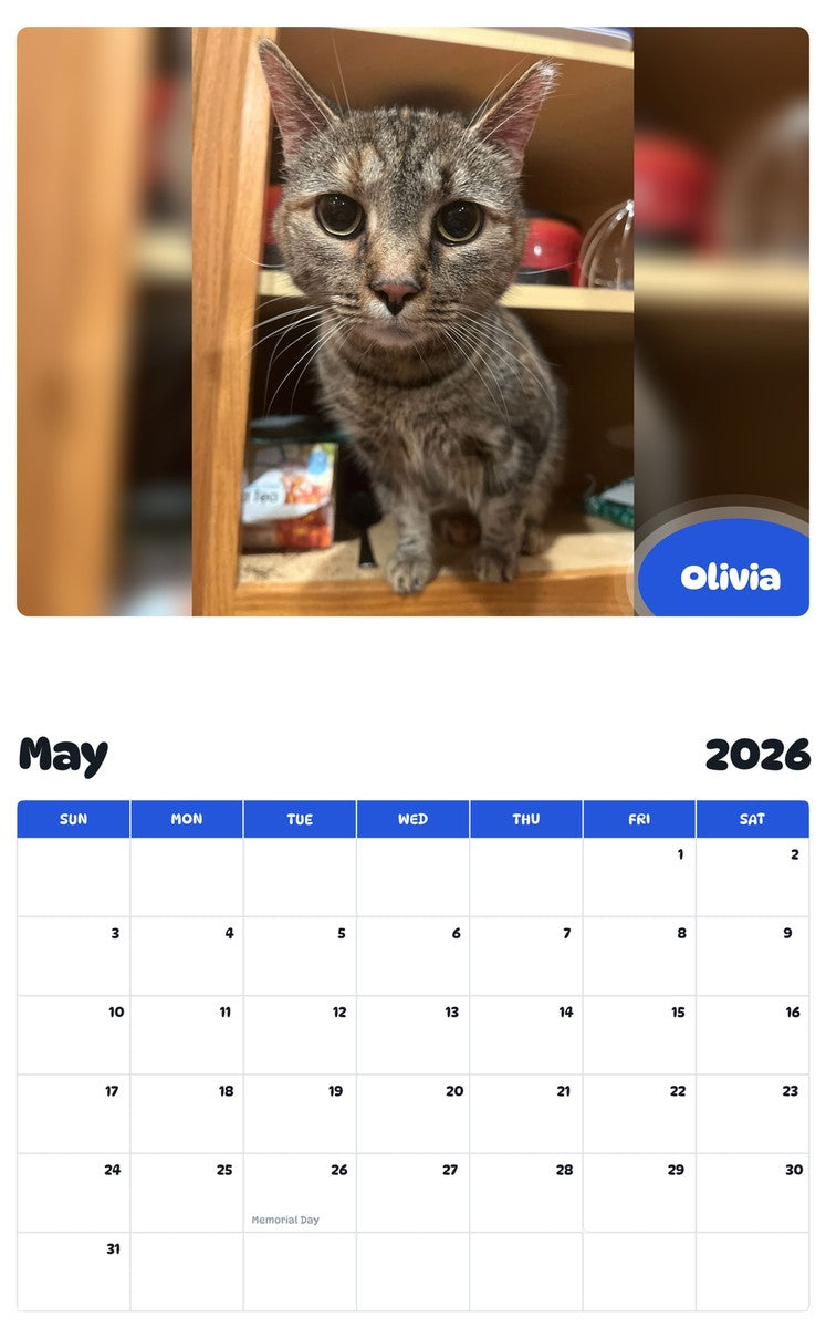 2026 - 2027 Olivia - Pawidols Pet Calendar