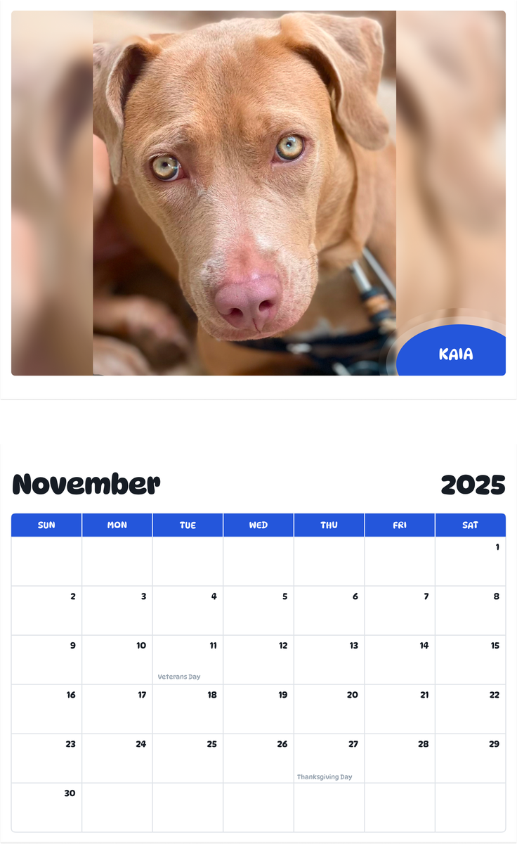 July 2025 - June 2026 kaia - Pawidols Pet Calendar