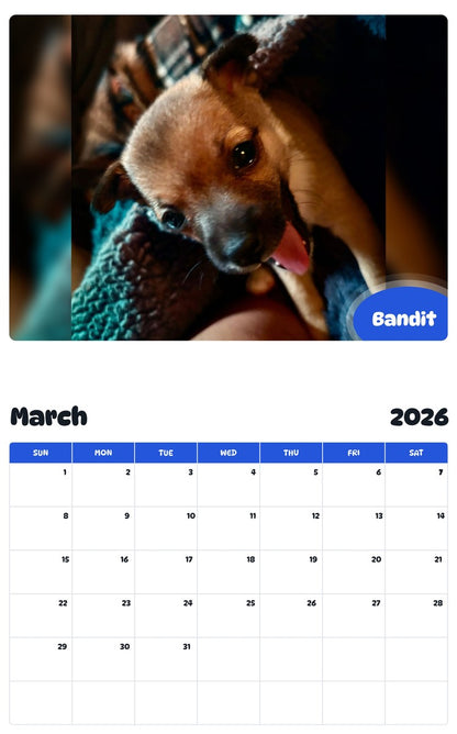 November 2025 - October 2026 Bandit - Pawidols Pet Calendar