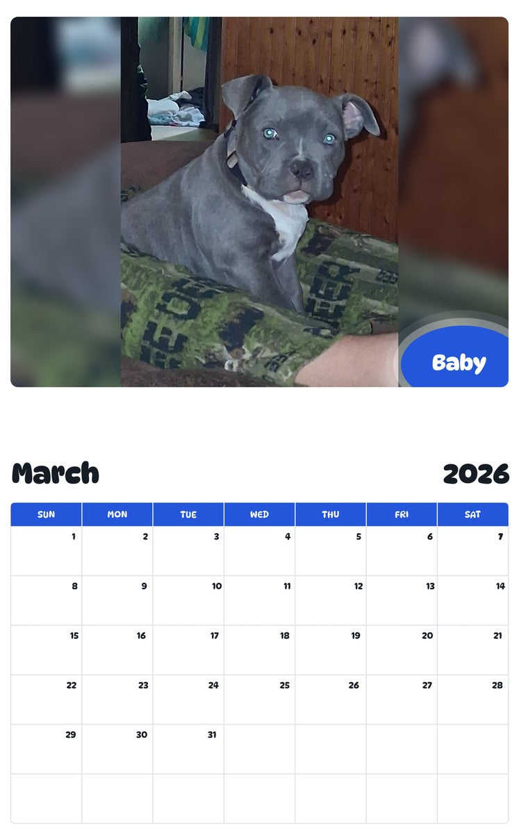 November 2025 - October 2026 Baby - Pawidols Pet Calendar