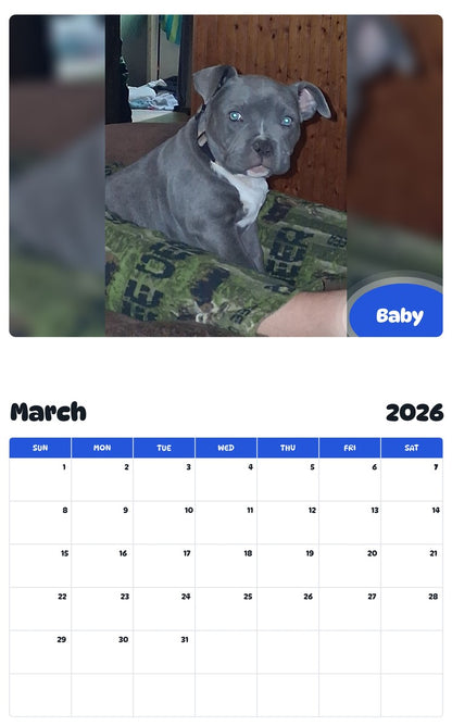 November 2025 - October 2026 Baby - Pawidols Pet Calendar