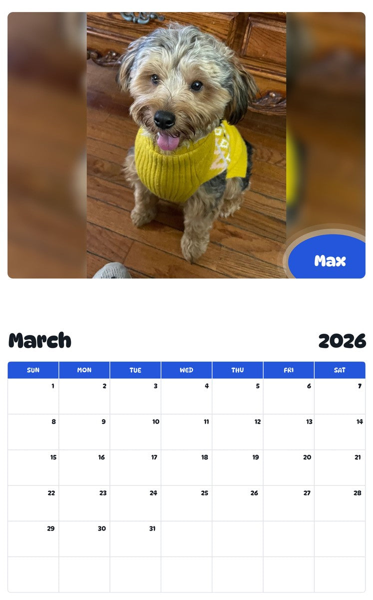 November 2025 - October 2026 Max - Pawidols Pet Calendar