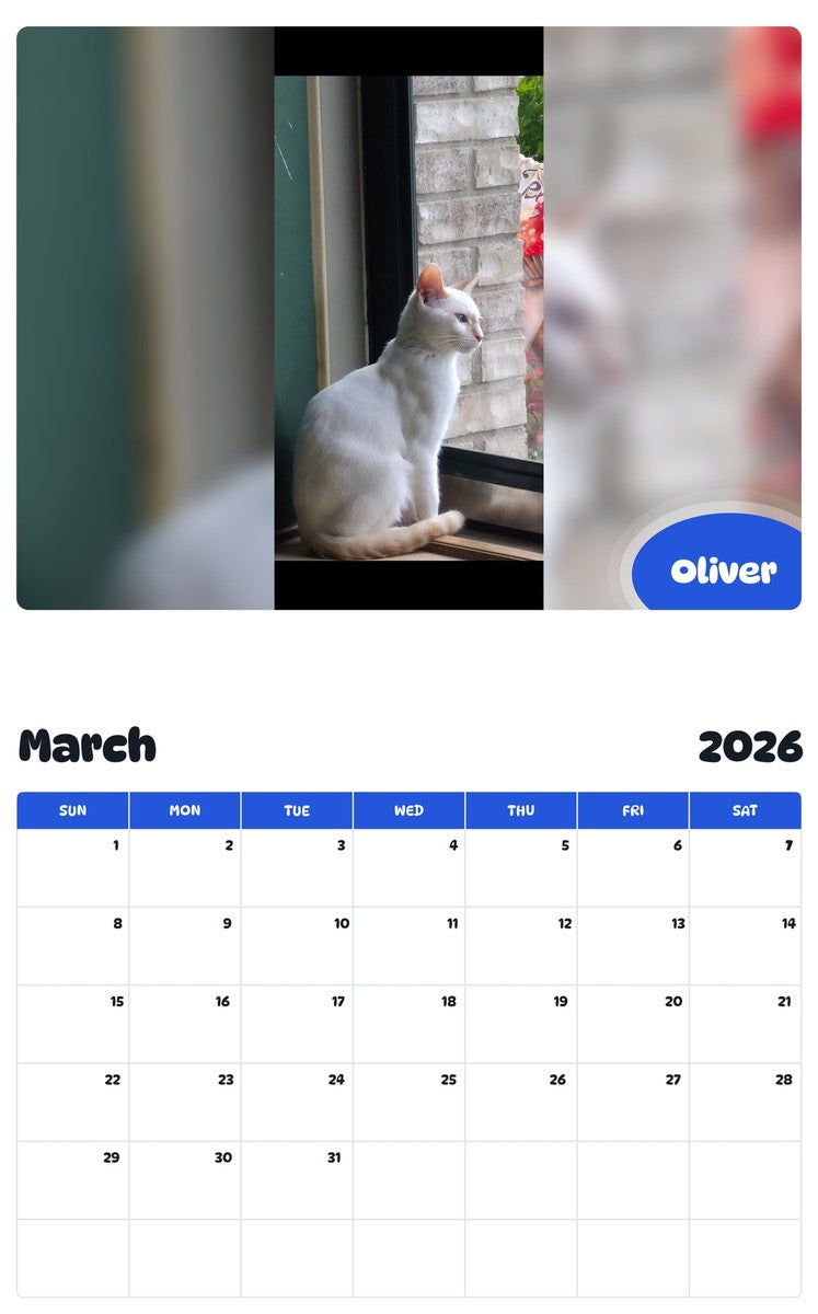 November 2025 - October 2026 Oliver - Pawidols Pet Calendar