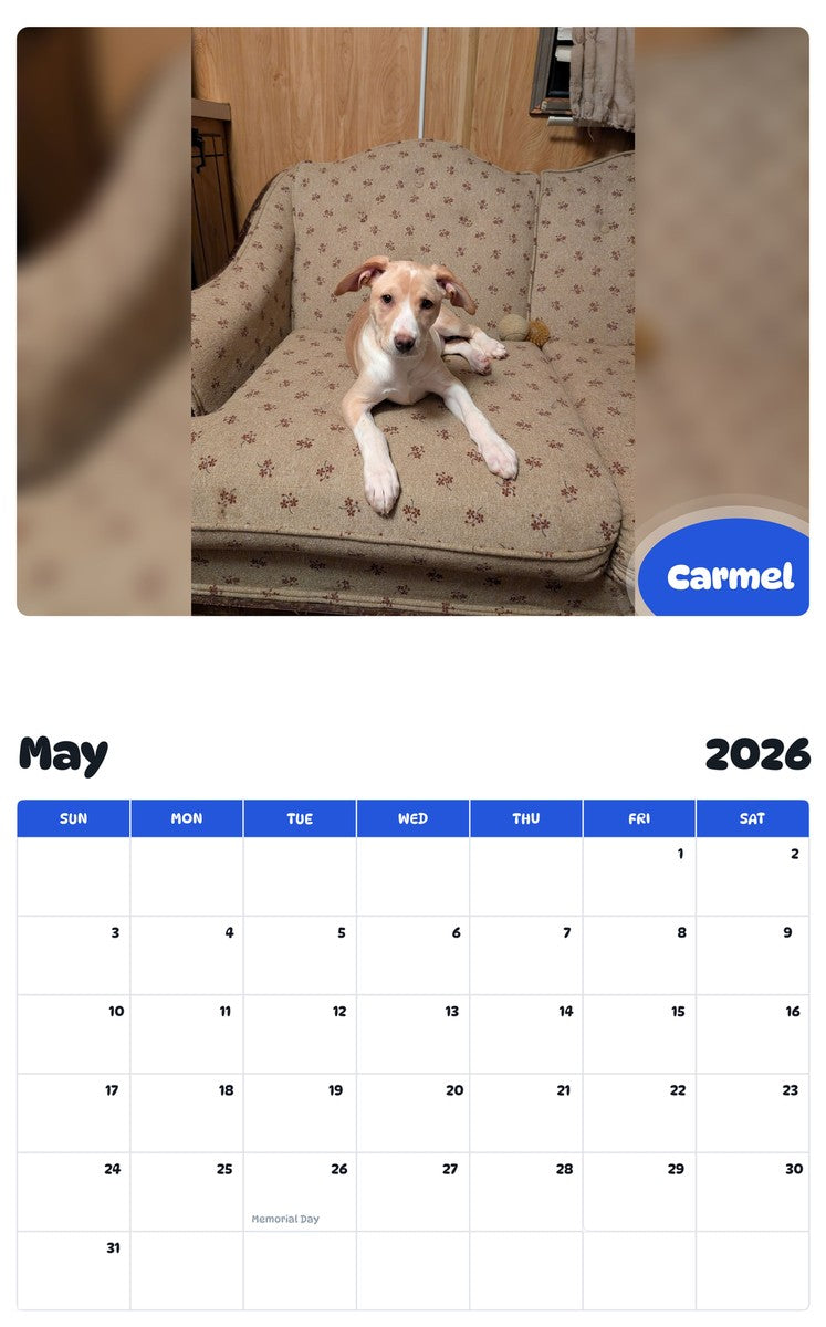 2026 - 2027 Carmel - Pawidols Pet Calendar