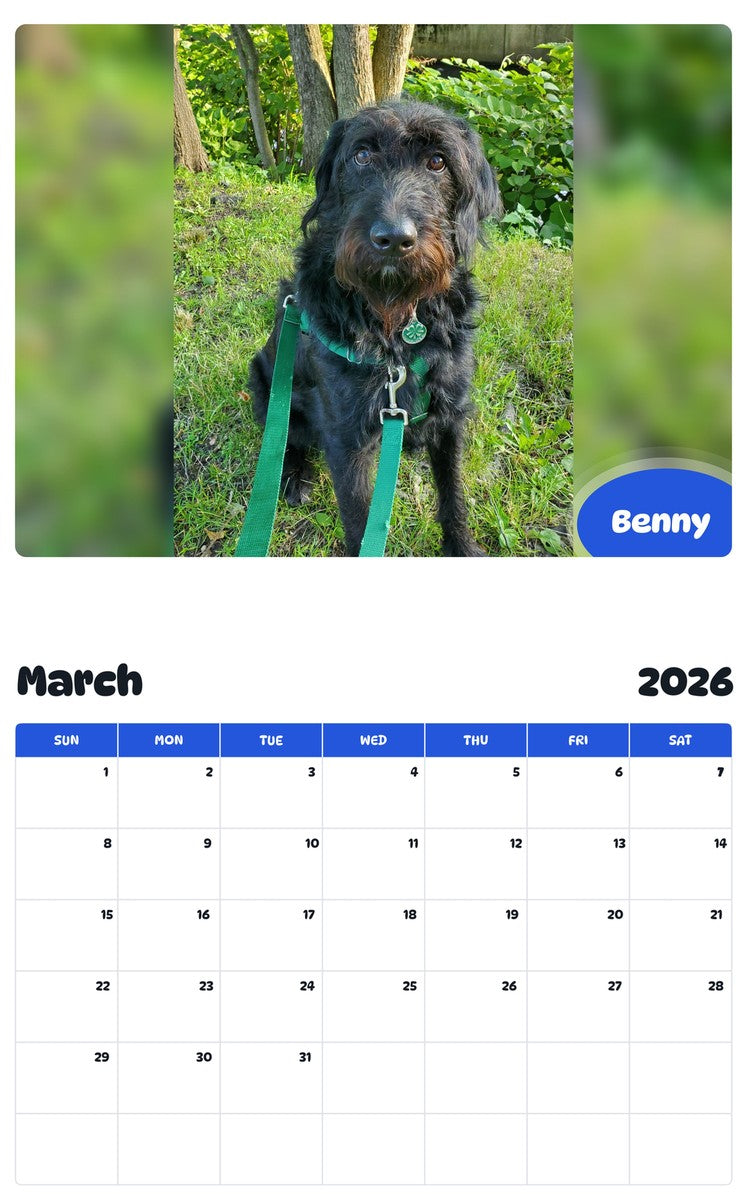 November 2025 - October 2026 Benny - Pawidols Pet Calendar