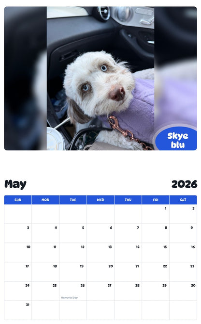 2026 - 2027 Skye blu - Pawidols Pet Calendar