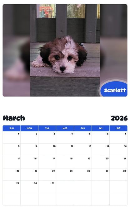 November 2025 - October 2026 Scarlett - Pawidols Pet Calendar
