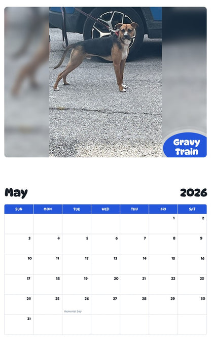 2026 - 2027 Gravy Train - Pawidols Pet Calendar