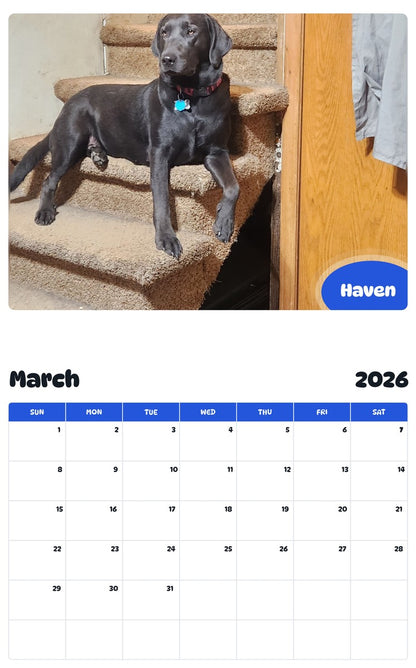 November 2025 - October 2026 Haven - Pawidols Pet Calendar
