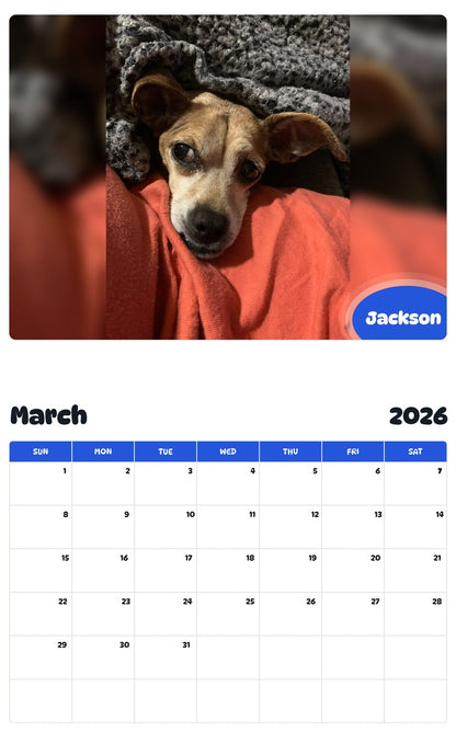 November 2025 - October 2026 Jackson - Pawidols Pet Calendar