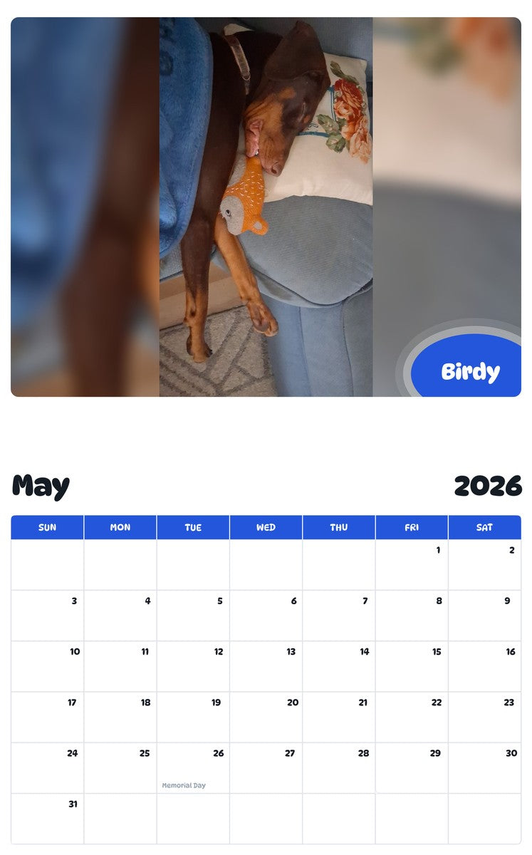 2026 - 2027 Birdy - Pawidols Pet Calendar