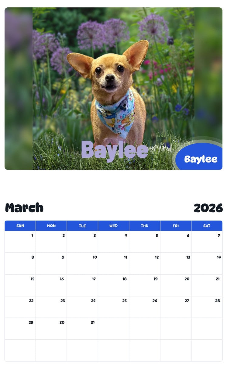 November 2025 - October 2026 Baylee - Pawidols Pet Calendar