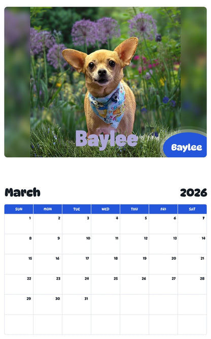 November 2025 - October 2026 Baylee - Pawidols Pet Calendar