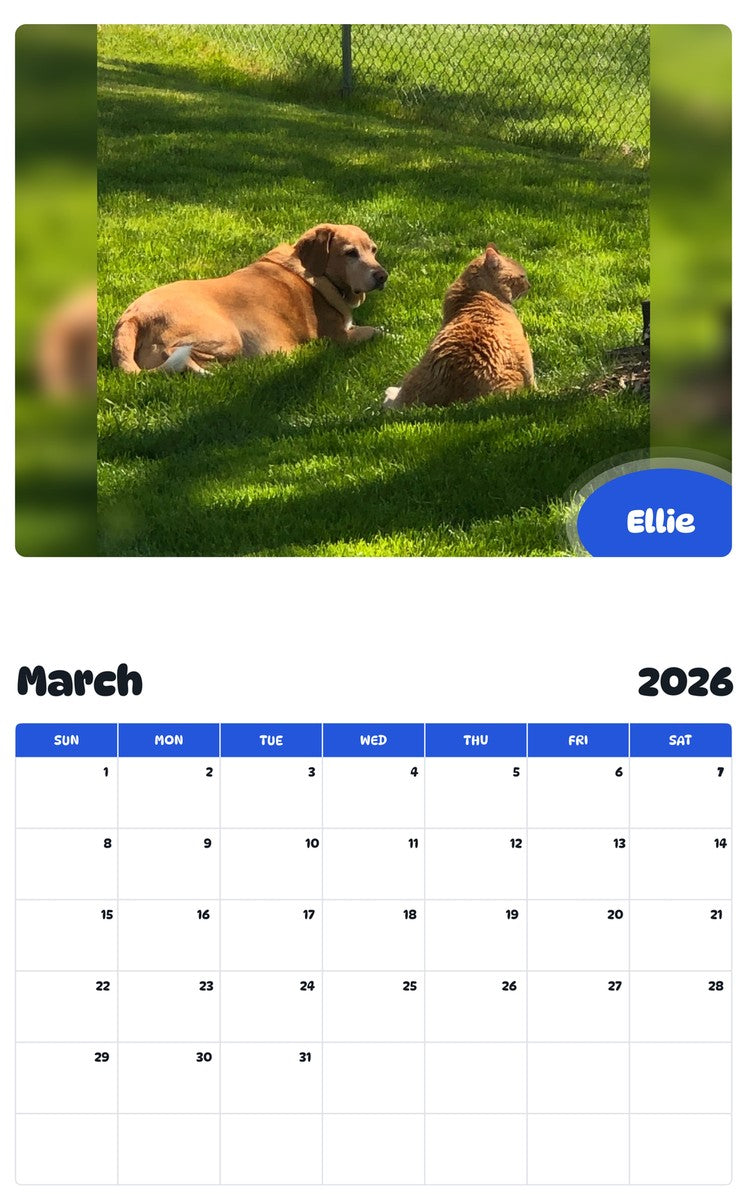 November 2025 - October 2026 Ellie - Pawidols Pet Calendar