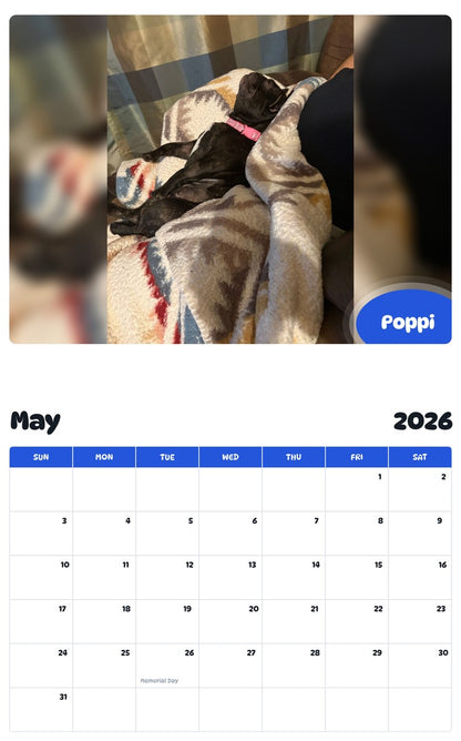 2026 - 2027 Poppi - Pawidols Pet Calendar