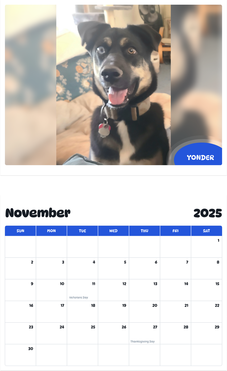 July 2025 - June 2026 Yonder - Pawidols Pet Calendar