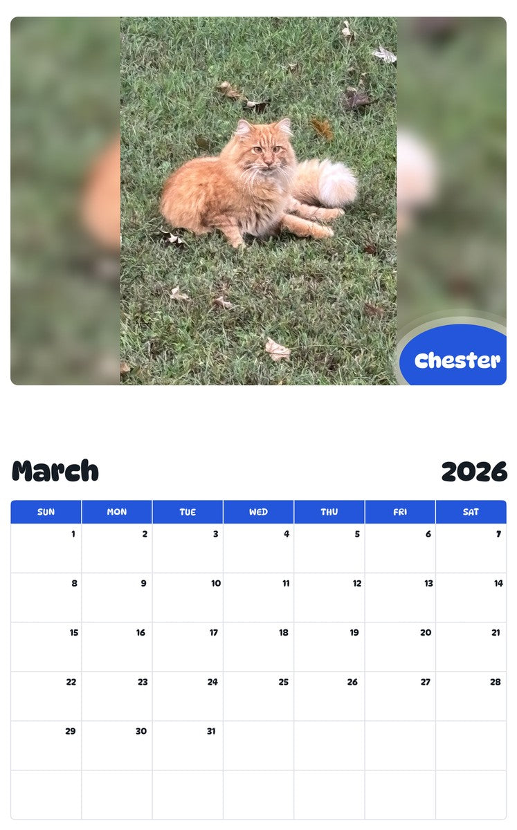 November 2025 - October 2026 Chester - Pawidols Pet Calendar