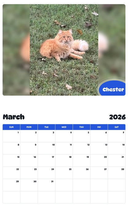 November 2025 - October 2026 Chester - Pawidols Pet Calendar