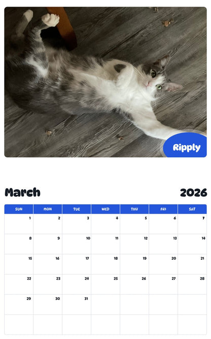 November 2025 - October 2026 Ripply - Pawidols Pet Calendar