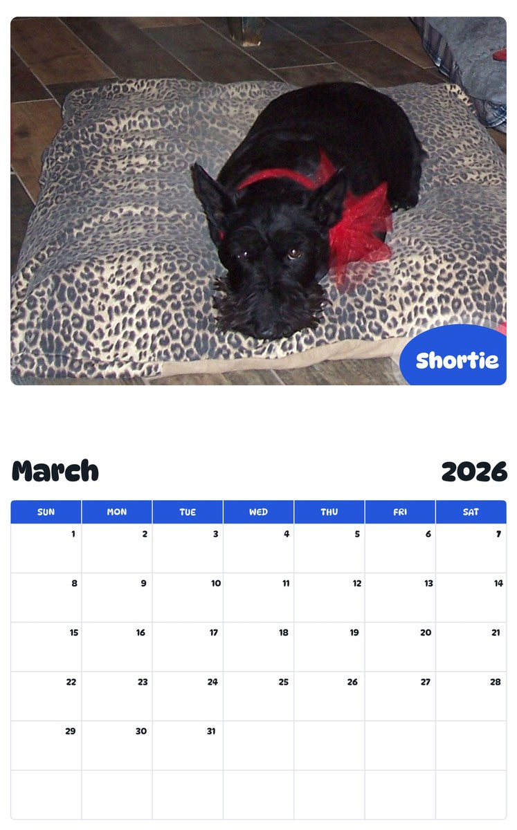 November 2025 - October 2026 Shortie - Pawidols Pet Calendar