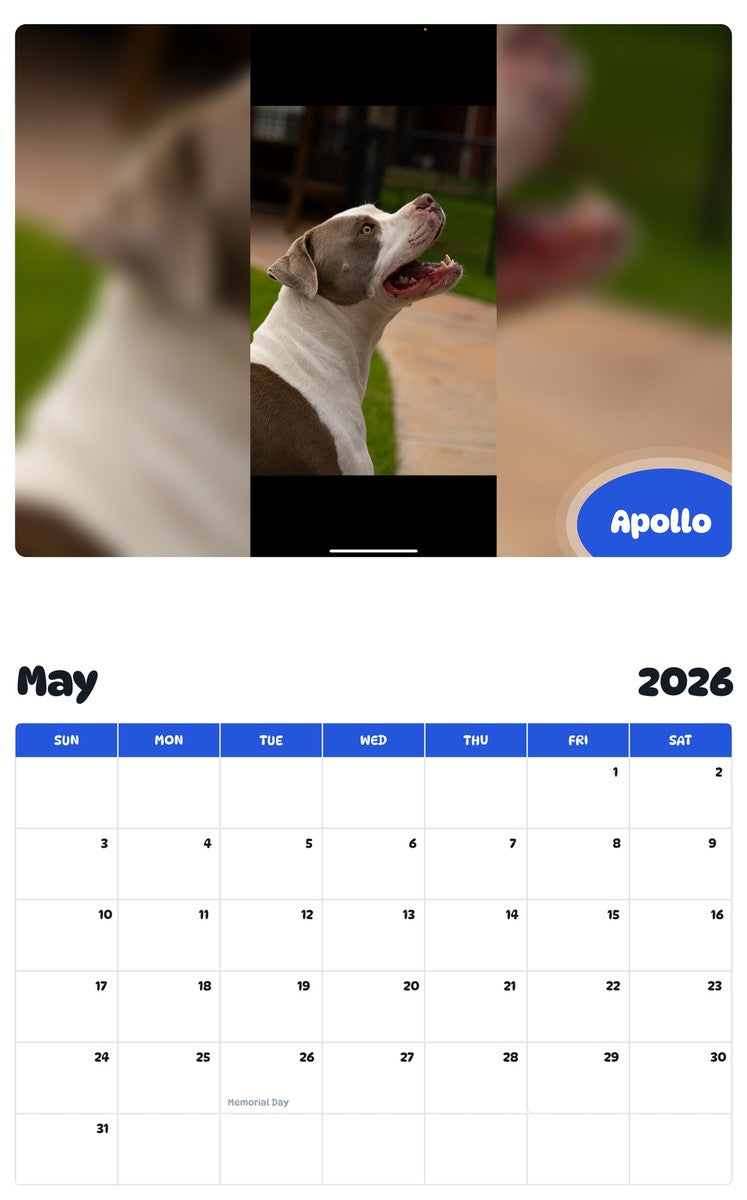 2026 - 2027 Apollo - Pawidols Pet Calendar