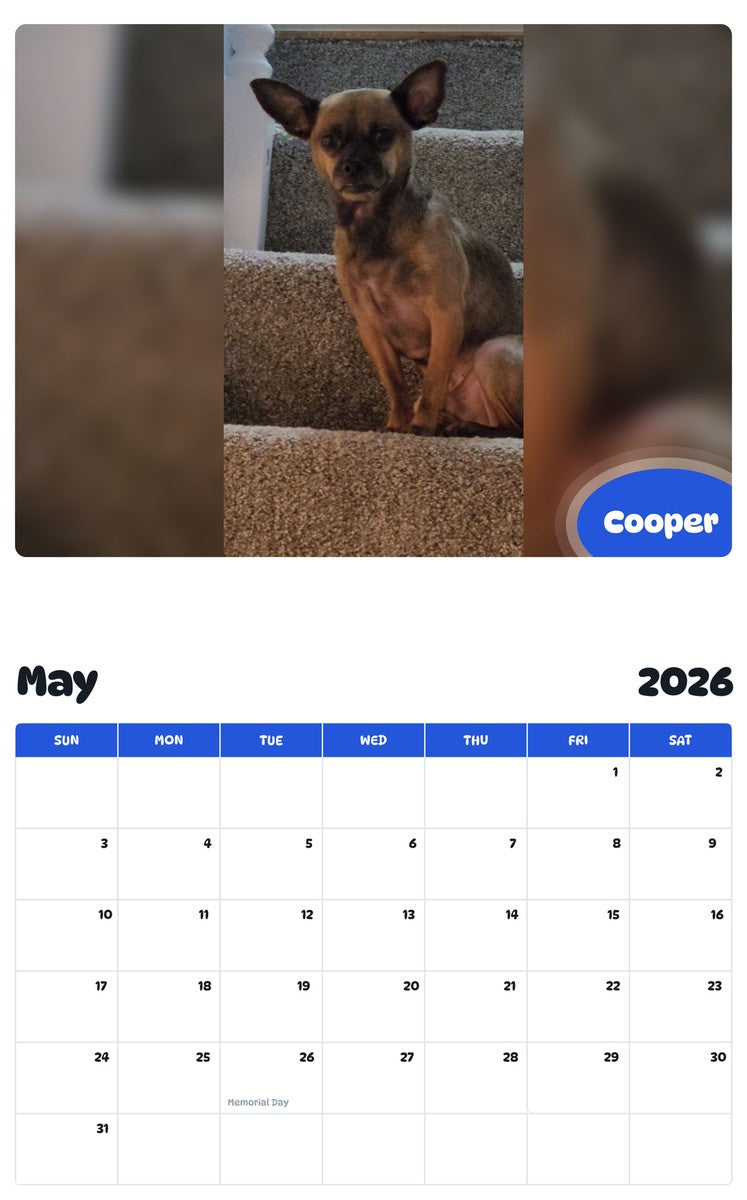 2026 - 2027 Cooper - Pawidols Pet Calendar