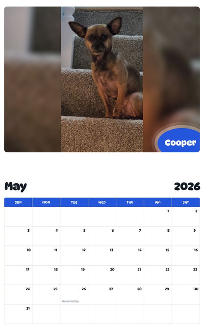 2026 - 2027 Cooper - Pawidols Pet Calendar