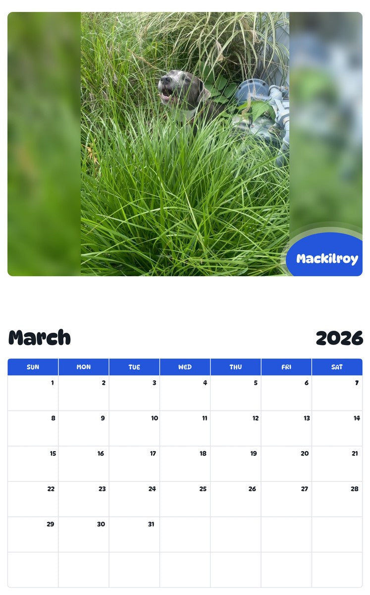 November 2025 - October 2026 Mackilroy - Pawidols Pet Calendar