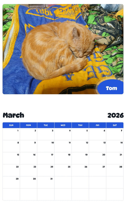 November 2025 - October 2026 Tom - Pawidols Pet Calendar
