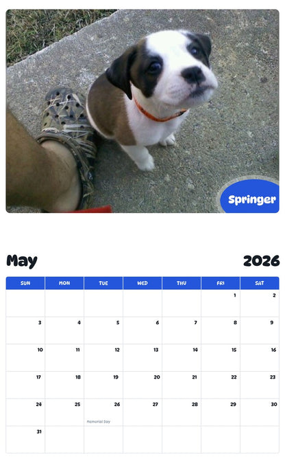 2026 - 2027 Springer - Pawidols Pet Calendar