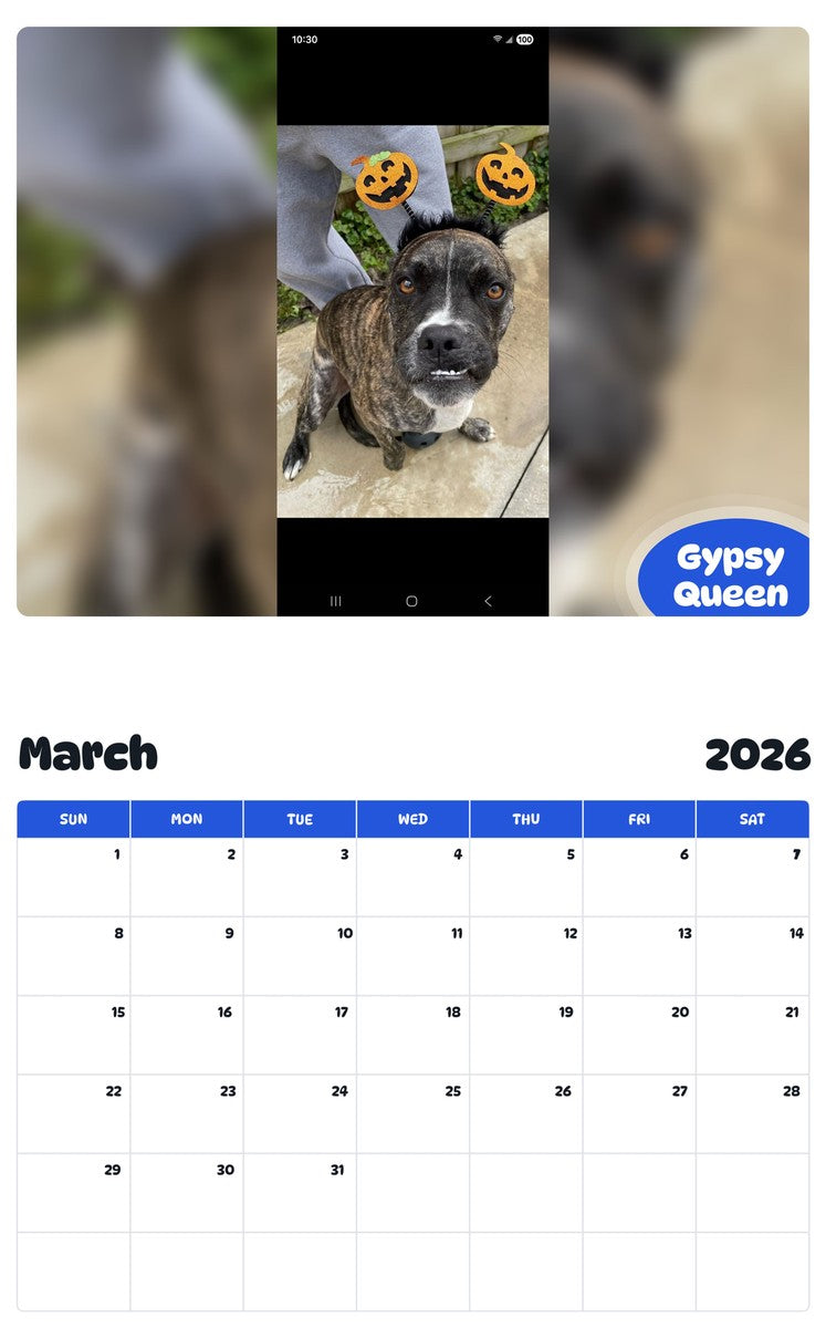 November 2025 - October 2026 Gypsy Queen - Pawidols Pet Calendar