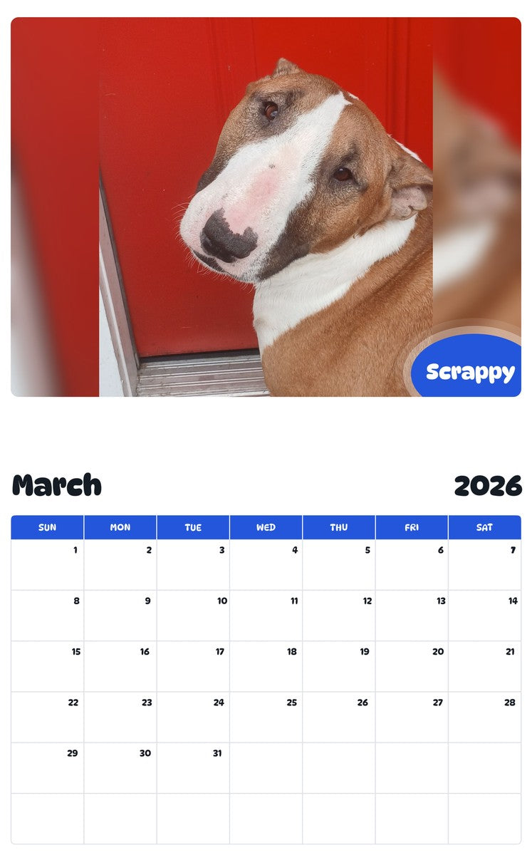 November 2025 - October 2026 Scrappy - Pawidols Pet Calendar