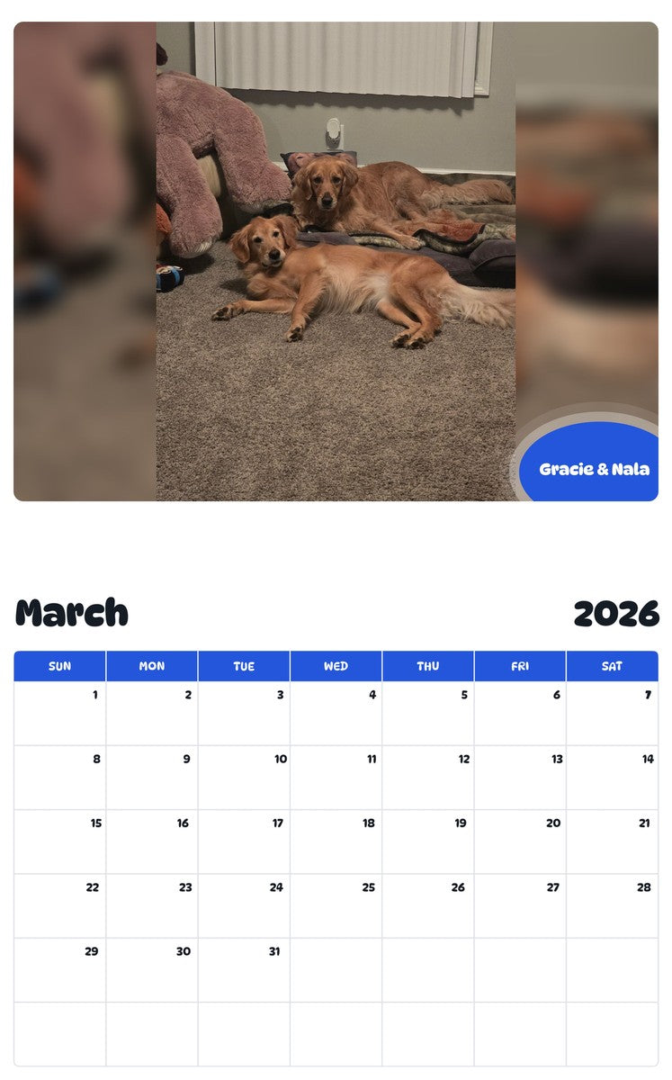 November 2025 - October 2026 Gracie & Nala - Pawidols Pet Calendar