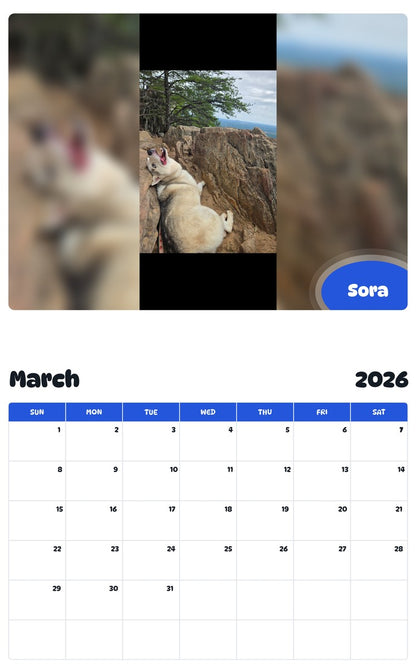 November 2025 - October 2026 Sora - Pawidols Pet Calendar