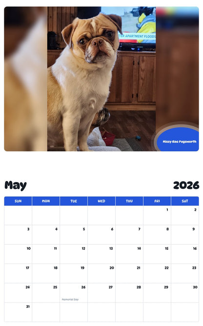 2026 - 2027 Missy Rae Pugsworth - Pawidols Pet Calendar