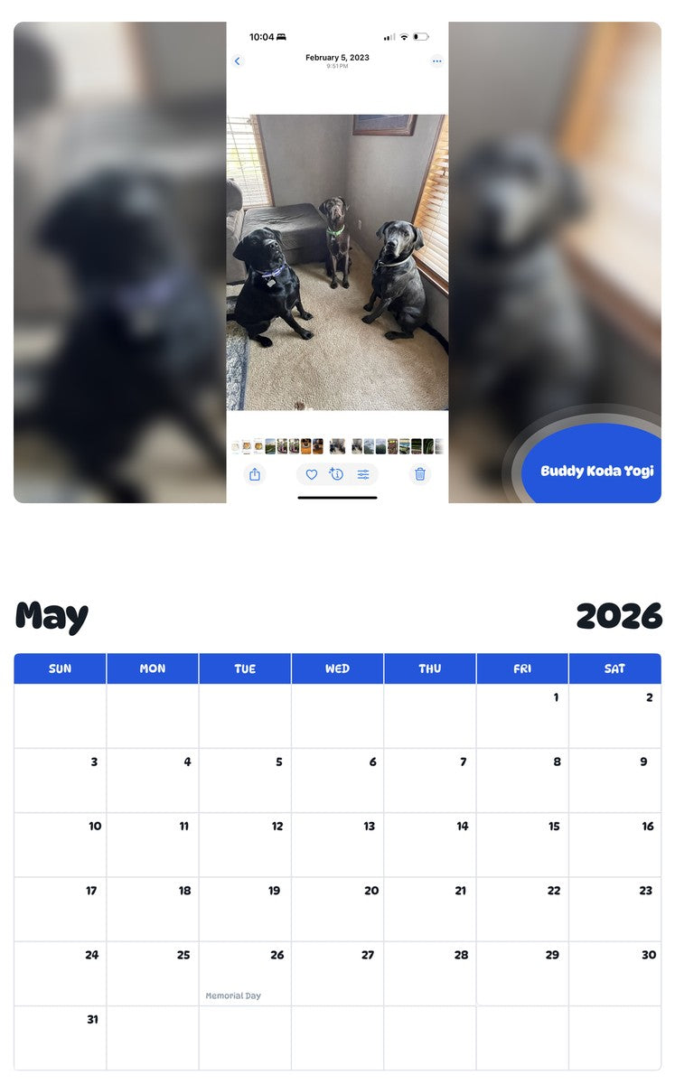 2026 - 2027 Buddy Koda Yogi - Pawidols Pet Calendar