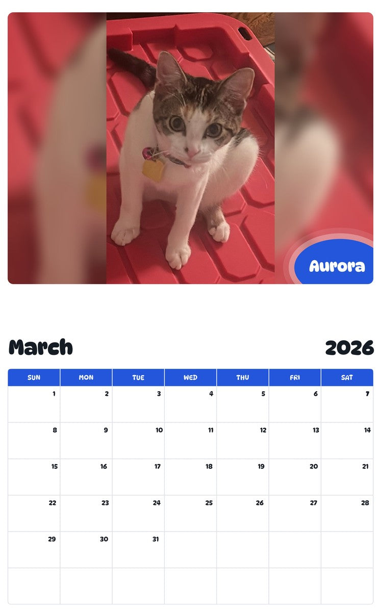 November 2025 - October 2026 Aurora - Pawidols Pet Calendar
