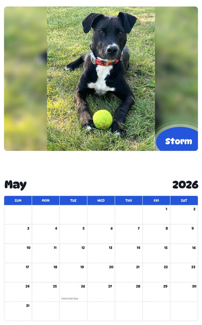2026 - 2027 Storm - Pawidols Pet Calendar