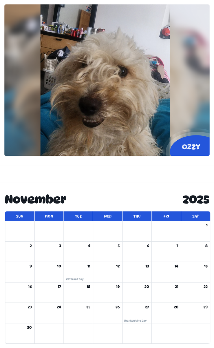 July 2025 - June 2026 Ozzy - Pawidols Pet Calendar
