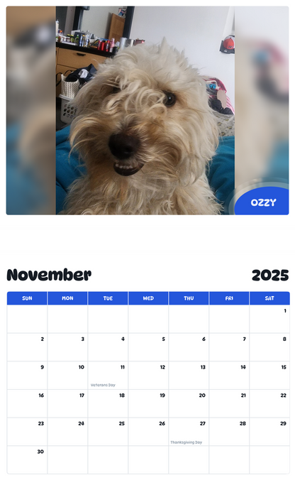 July 2025 - June 2026 Ozzy - Pawidols Pet Calendar