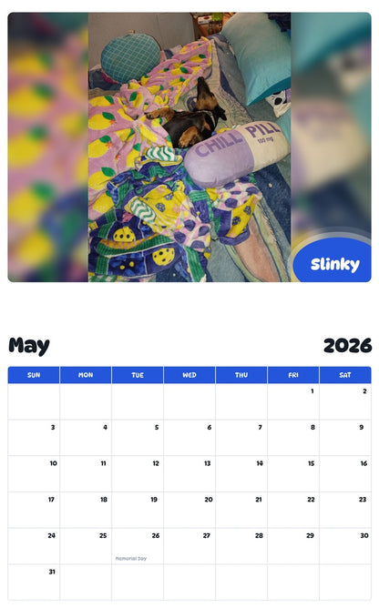 2026 - 2027 Slinky - Pawidols Pet Calendar