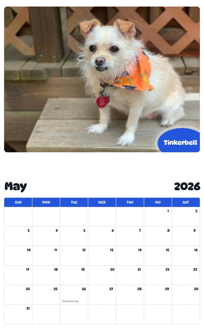 2026 - 2027 Tinkerbell - Pawidols Pet Calendar