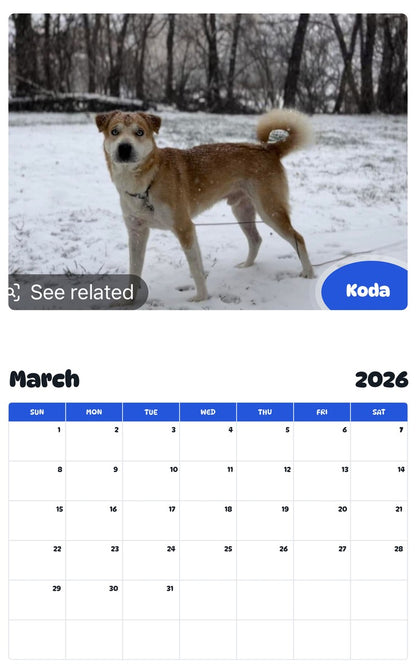 November 2025 - October 2026 Koda - Pawidols Pet Calendar