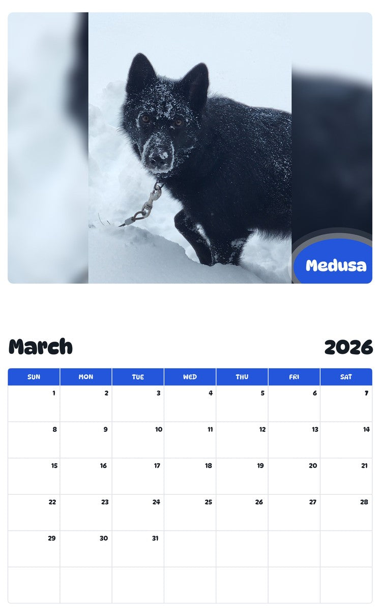 November 2025 - October 2026 Medusa - Pawidols Pet Calendar